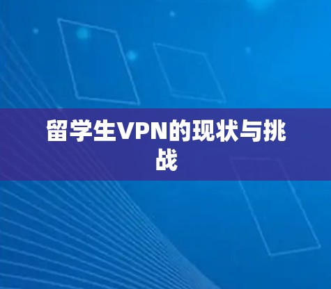 留学生VPN的现状与挑战