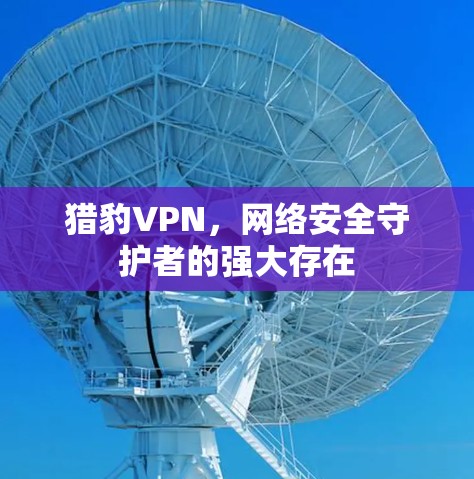 猎豹VPN,网络安全守护者的强大存在 猎豹VPN,网络安全守护者的强大存在