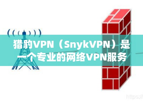 猎豹VPN（SnykVPN）是一个专业的网络VPN服务，提供多种安全的VPN体验。以下是关于猎豹VPN官方下载的详细信息