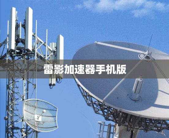 雷影加速器手机版