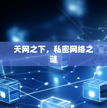 天网之下,私密网络之谜 天网之下,私密网络之谜