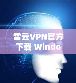 雷云VPN官方下载 Windows版