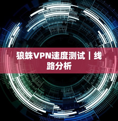 狼蛛VPN速度测试｜线路分析