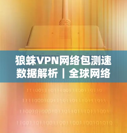 狼蛛VPN网络包测速数据解析|全球网络传输能力