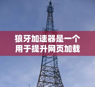 狼牙加速器是一个用于提升网页加载速度的工具,通常在手机或电脑上使用。如果您想在移动端使用狼牙加速器,以下是一些可能的步骤和建议