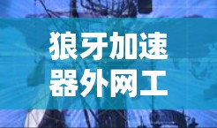 狼牙加速器外网工具推荐 狼牙加速器外网工具推荐
