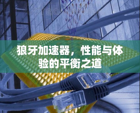 狼牙加速器,性能与体验的平衡之道 狼牙加速器,性能与体验的平衡之道