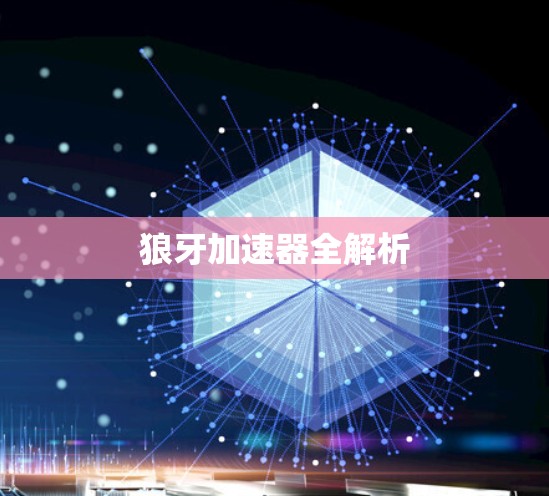 狼牙加速器全解析