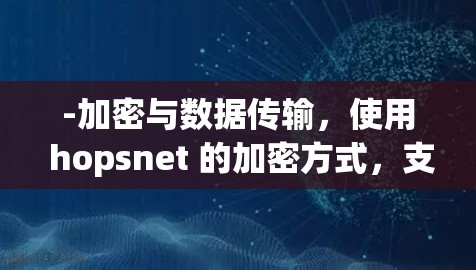 -加密与数据传输,使用 hopsnet 的加密方式,支持数据加密和传输