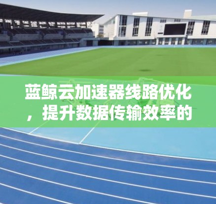 蓝鲸云加速器线路优化,提升数据传输效率的全新解决方案