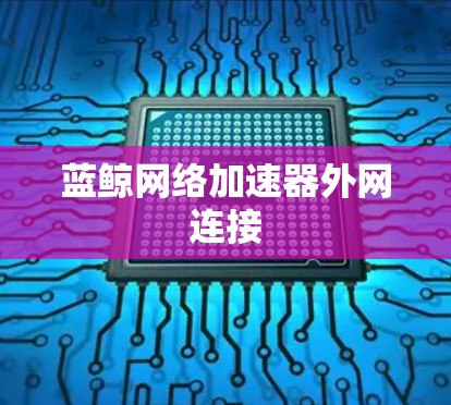 蓝鲸网络加速器外网连接