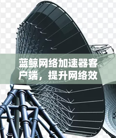 蓝鲸网络加速器客户端,提升网络效率,开启数据传输新世界