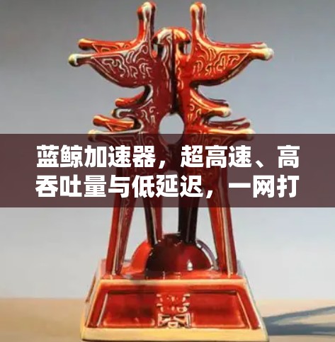 蓝鲸加速器，超高速、高吞吐量与低延迟，一网打尽网络传输能力！