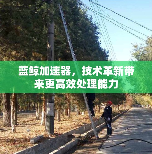 蓝鲸加速器，技术革新带来更高效处理能力