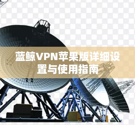 蓝鲸VPN苹果版详细设置与使用指南