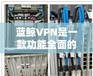 蓝鲸VPN是一款功能全面的VPN产品，以其强大的安全能力和灵活的功能设置，成为许多用户选择VPN的首选。以下是对蓝鲸VPN功能评测的详细介绍