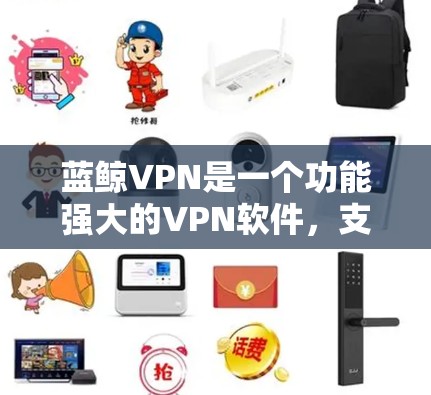 蓝鲸VPN是一个功能强大的VPN软件，支持手机、电脑和主机。以下是使用蓝鲸VPN进行连接的步骤