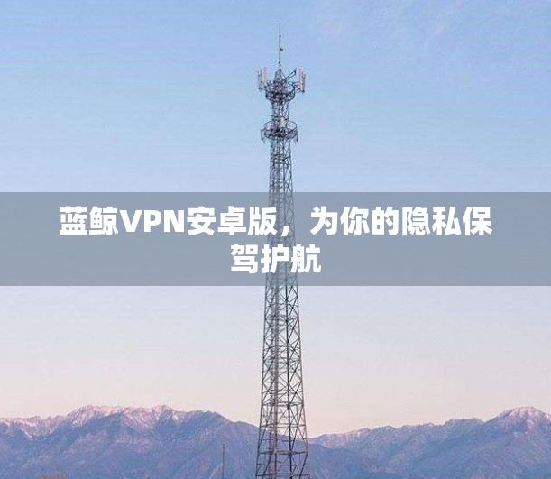 蓝鲸VPN安卓版，为你的隐私保驾护航