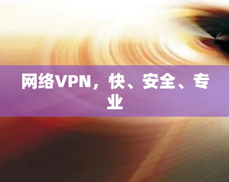 网络VPN,快、安全、专业 网络VPN,快、安全、专业
