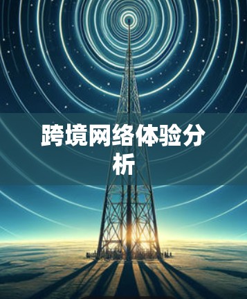 跨境网络体验分析