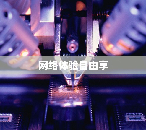 网络体验自由享 网络体验自由享
