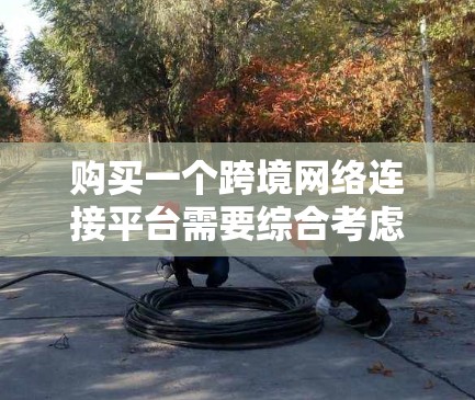 购买一个跨境网络连接平台需要综合考虑多个因素，以确保平台的安全、可靠和满足您的需求。以下是一个结构化的评估指南，帮助您做出明智的选择