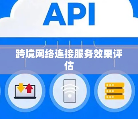 跨境网络连接服务效果评估