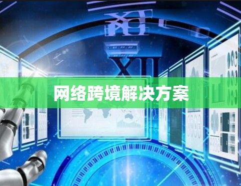 网络跨境解决方案