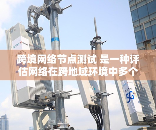 跨境网络节点测试 是一种评估网络在跨地域环境中多个关键节点之间的连接和性能的方法。以下是详细的步骤说明