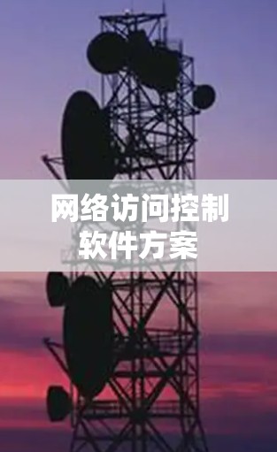 网络访问控制软件方案 网络访问控制软件方案