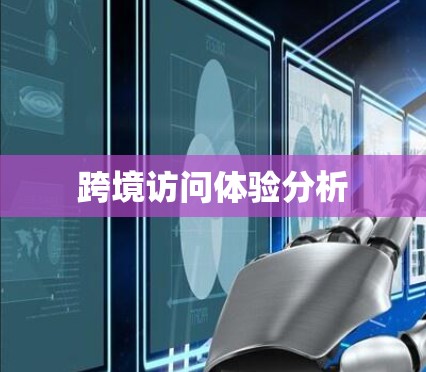 跨境访问体验分析