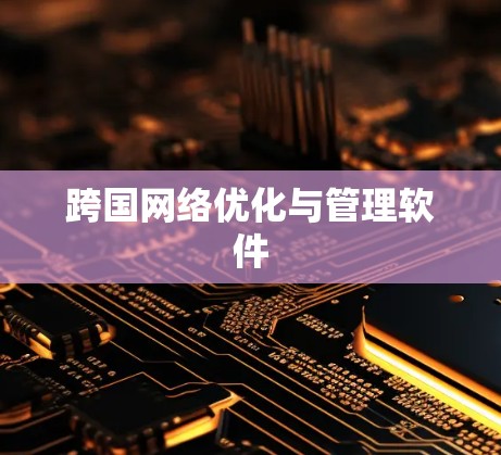 跨国网络优化与管理软件