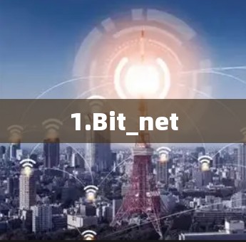1.Bit_net 1.Bit_net