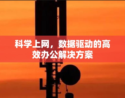 科学上网，数据驱动的高效办公解决方案