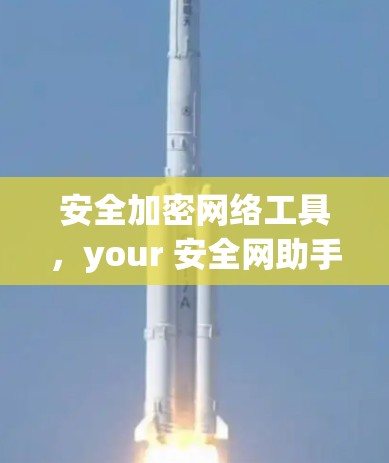 安全加密网络工具，your 安全网助手