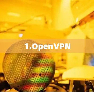 1.OpenVPN 1.OpenVPN