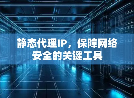 静态代理IP,保障网络安全的关键工具 静态代理IP,保障网络安全的关键工具