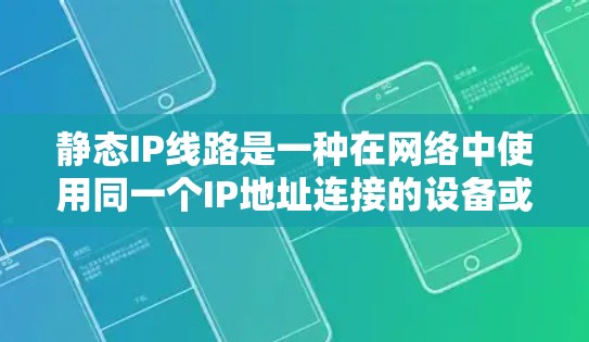 静态IP线路是一种在网络中使用同一个IP地址连接的设备或路由器，用于管理这些设备的连接和状态。以下是关于静态IP线路的详细信息
