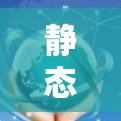 静态IP代理，技术与应用的深度分析