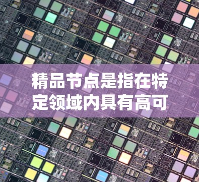 精品节点是指在特定领域内具有高可靠性和高性能的节点，它们在特定的应用中扮演关键角色，确保系统正常运行和设备安全。以下是关于精品节点的详细介绍
