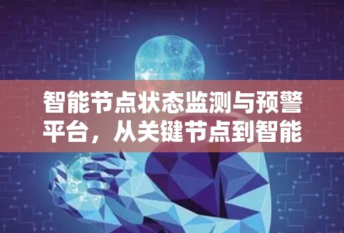 智能节点状态监测与预警平台，从关键节点到智能未来