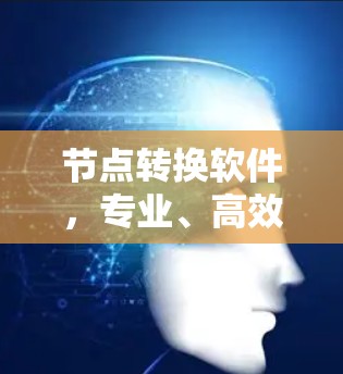 节点转换软件,专业、高效、安全,助力数字世界! 节点转换软件,专业、高效、安全,助力数字世界!