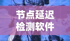 节点延迟检测软件（NIDIS）是用于检测网络传输数据所用时间波动的软件，旨在预防和优化网络延迟。以下是其基本信息和工作流程