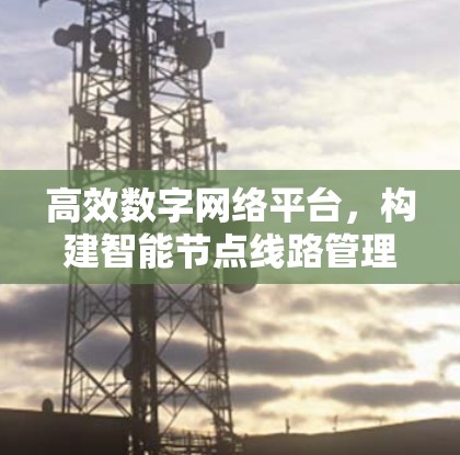 高效数字网络平台，构建智能节点线路管理