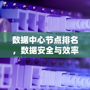 数据中心节点排名,数据安全与效率的平衡之道 数据中心节点排名,数据安全与效率的平衡之道
