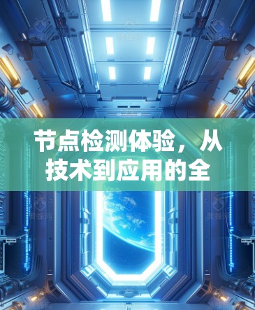 节点检测体验，从技术到应用的全面探索