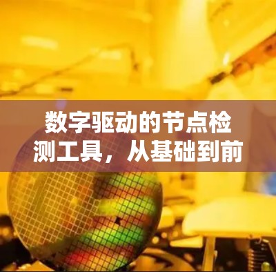数字驱动的节点检测工具，从基础到前沿