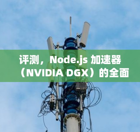评测，Node.js 加速器（NVIDIA DGX）的全面评测