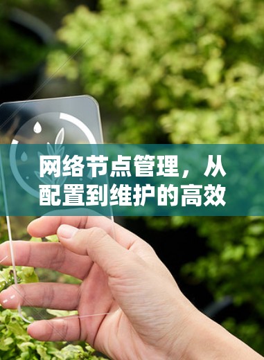 网络节点管理,从配置到维护的高效管理