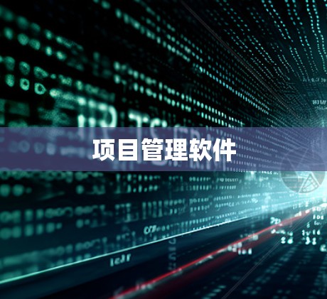 项目管理软件 项目管理软件